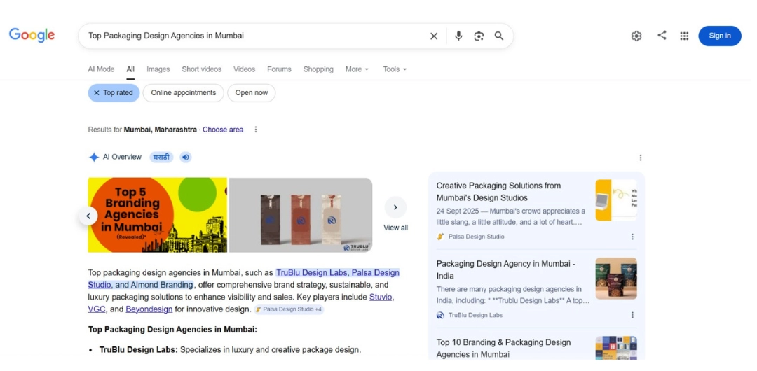 Google AI Result